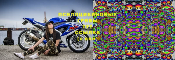 герыч Инсар