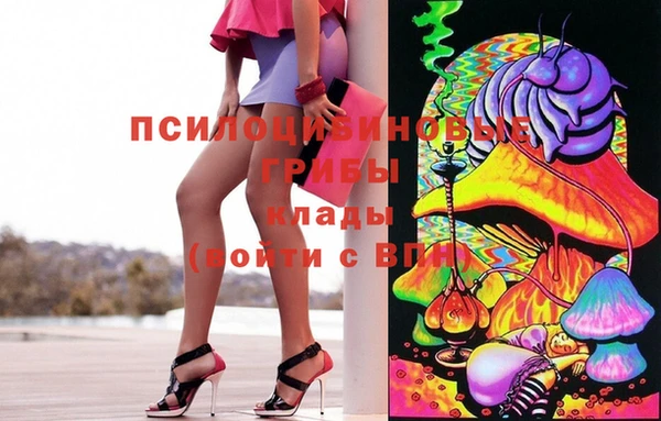 герыч Инсар