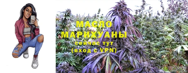 МДПВ Инта