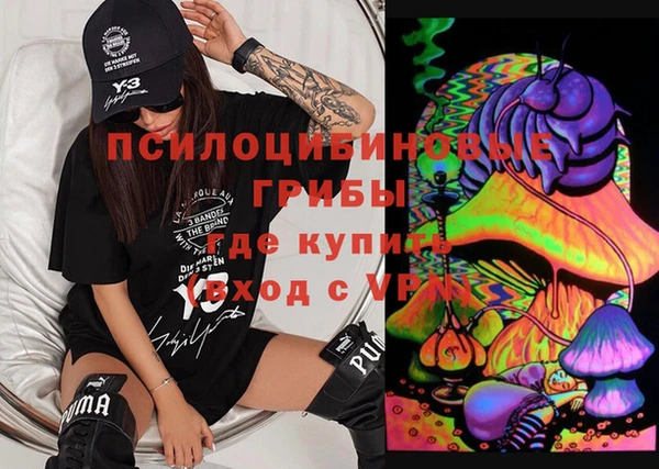 МДПВ Инта