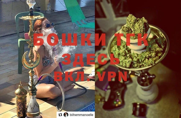 МДПВ Инта