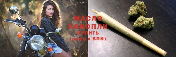 МДПВ Инта